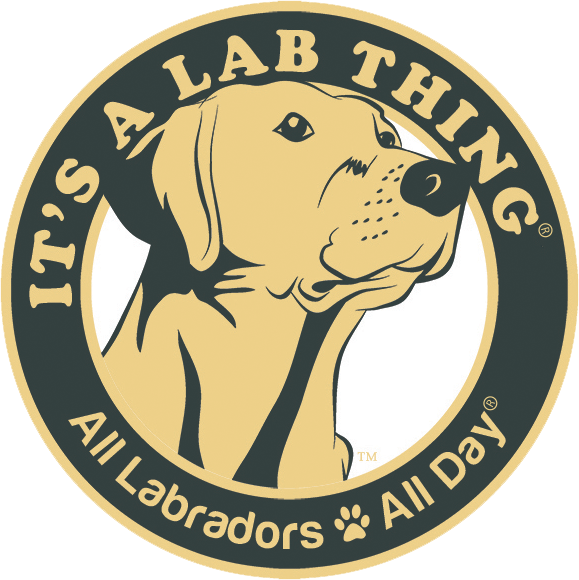 It’s a Lab Thing