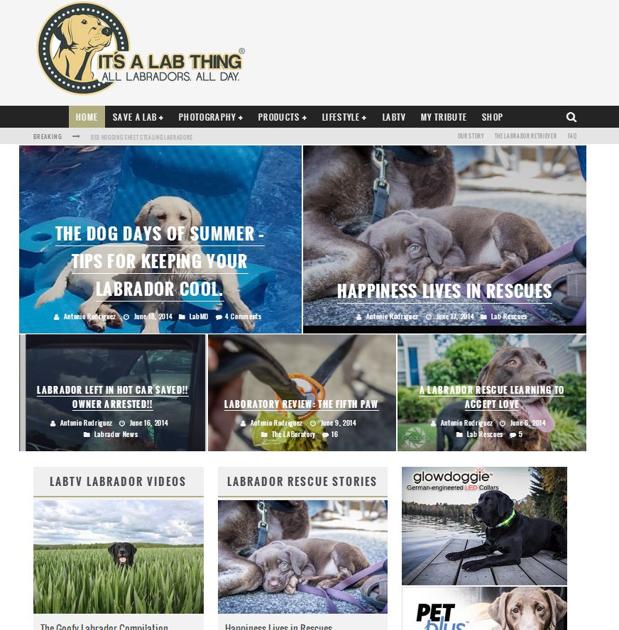It's a Lab Thing Website Blog design