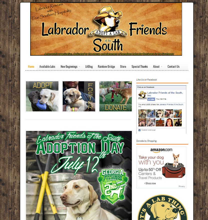 labrador friends of the south dog rescue website